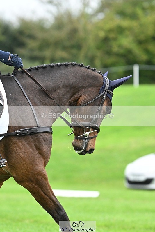 241024-124447-03494 - 518-Carla.Williamson-POWERS