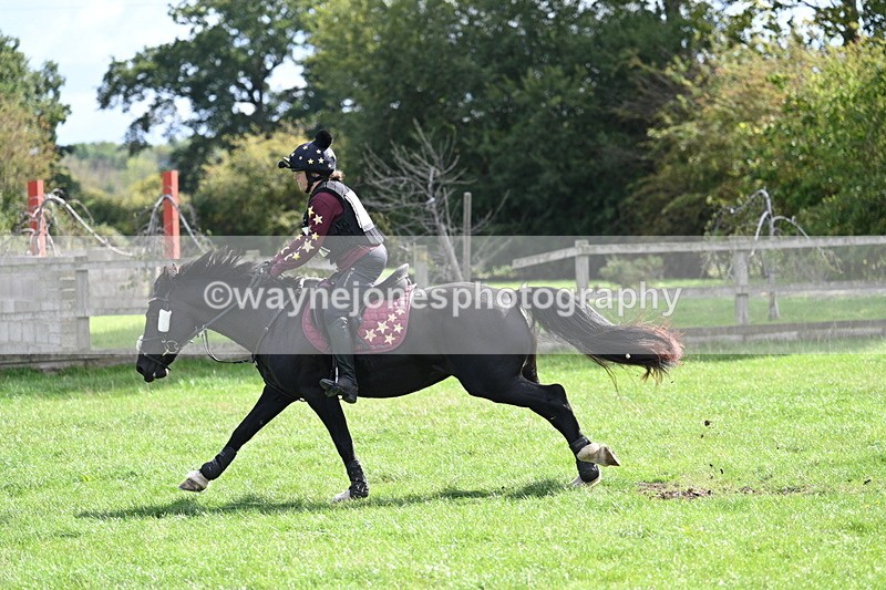 WJ7_0738 - Time 13:30 to 13:54