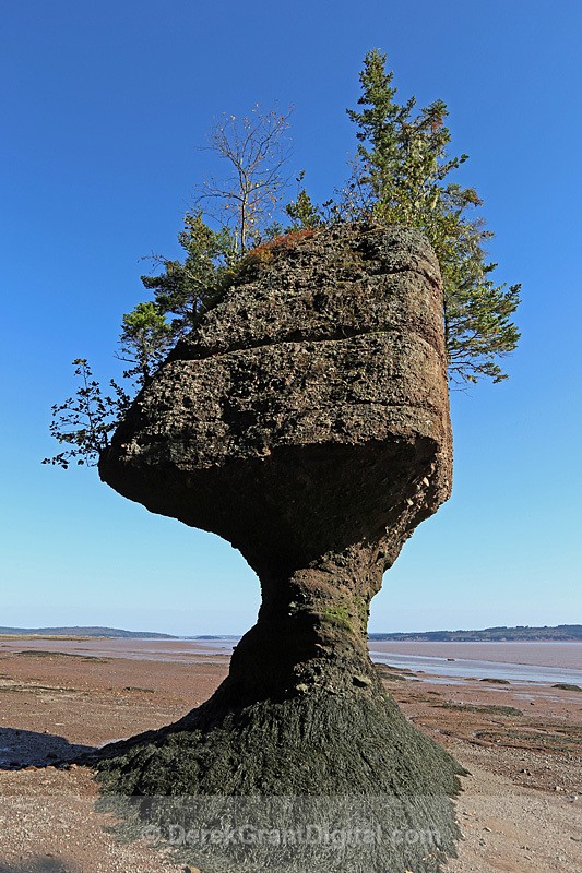 The Rocks @ Hopewell Cape - The Rocks @ Hopewell Cape