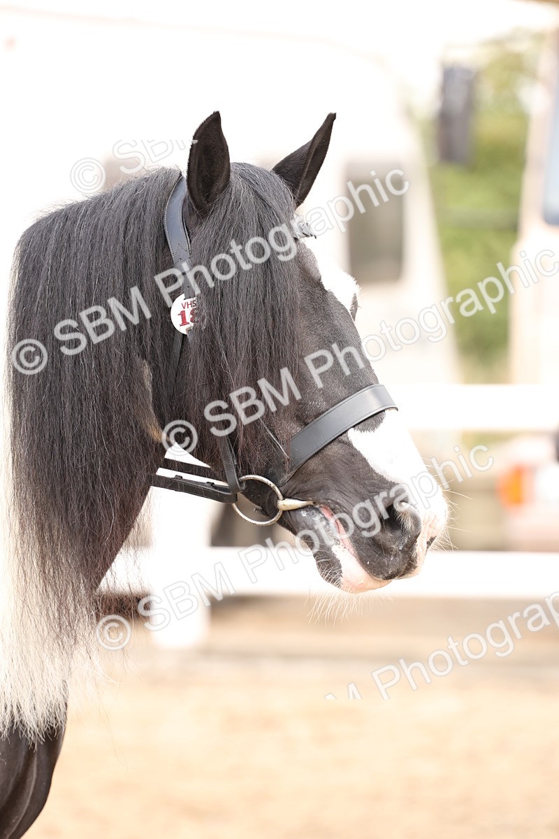 SBM_04238 - Class 54 - Riding Club Horse/Pony