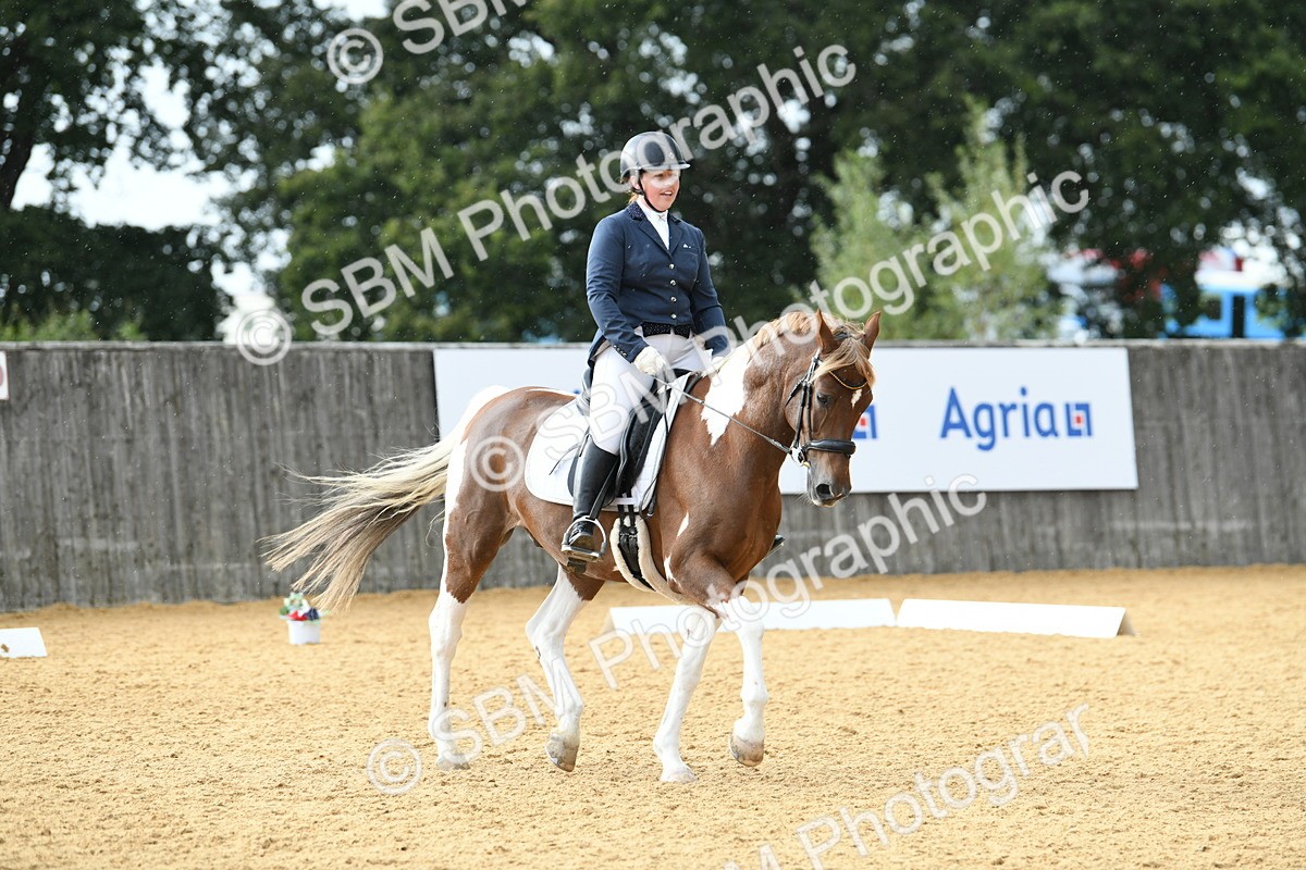 SBM_11093 - D28 Elementary Taster Elementary 42