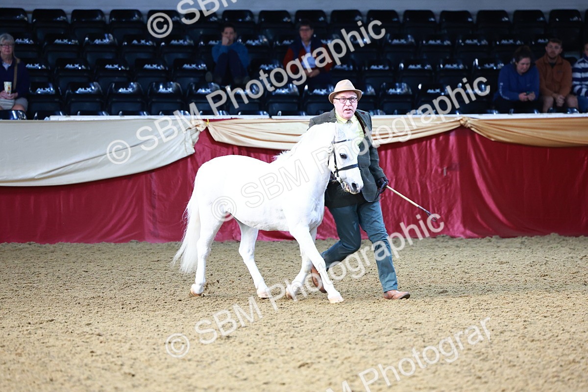 SBM_21769 - Class 901 - Supreme Final - IH  Diamond