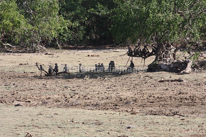  - Travel and culture