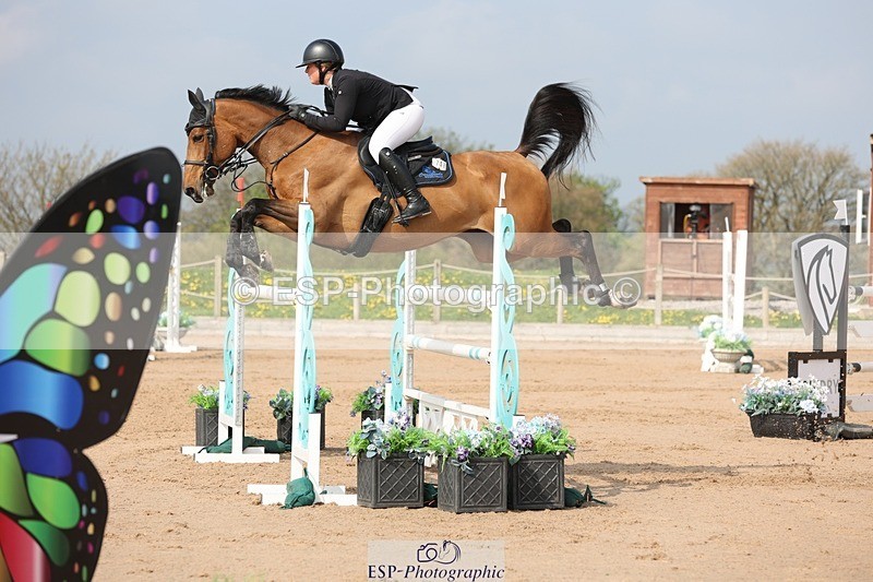 250424-103008-03056 - Cls 33 Young Horse 7yr old