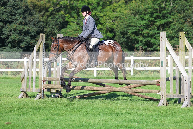 3E7A7791 - Class 2: Open Working Hunter pony