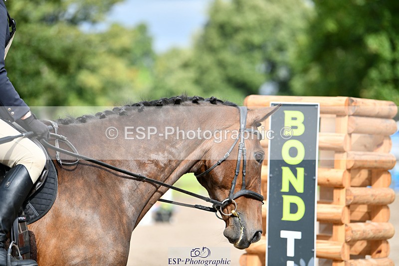 240825X-161605-36808 - 80cm SJ 16.00 to 17.26