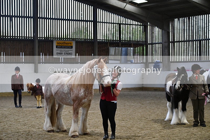 WJ5_5151 - Class 7 In hand coloured / odd coloured