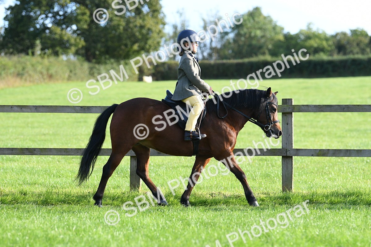 SBM_53994 - S23 - 1st Ridden Mountain & Moorland Pony