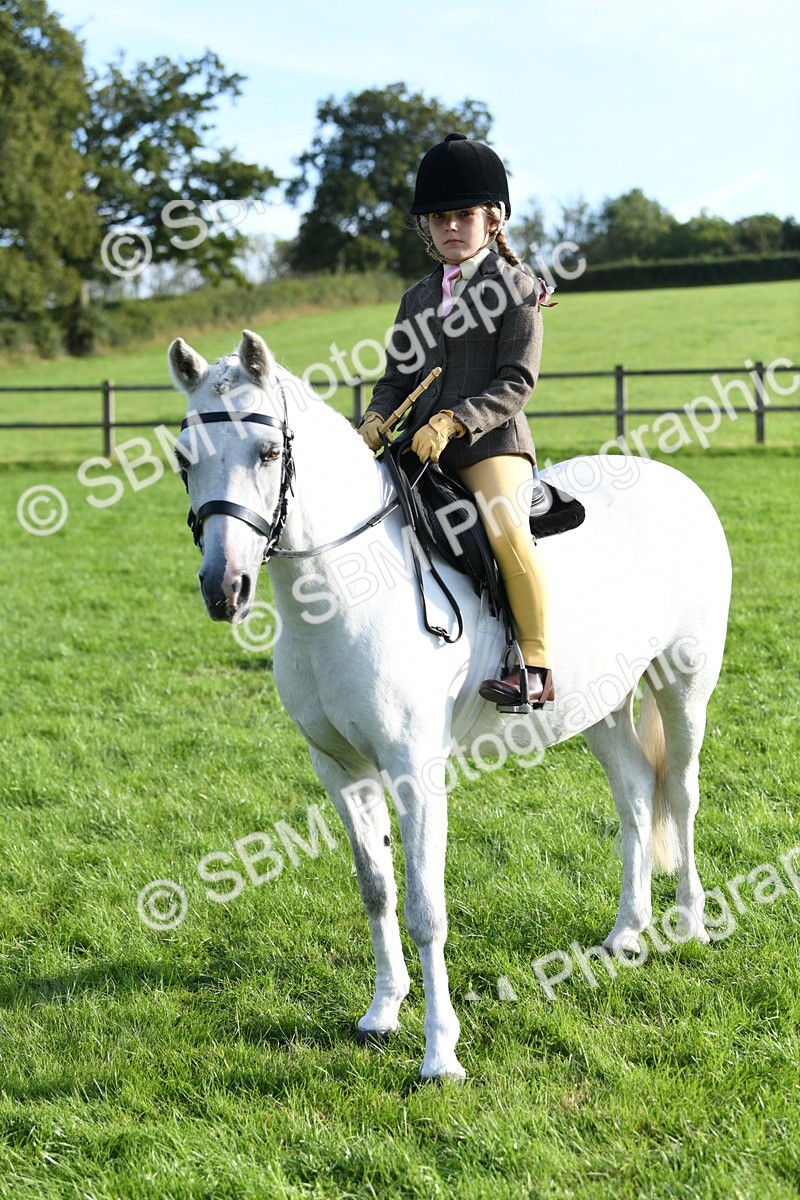 SBM_52398 - S22 - 1st Ridden Show & Show Hunter Pony
