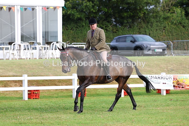 3E7A8052 - Class 2: Rising Star Large Hack/Riding Horse