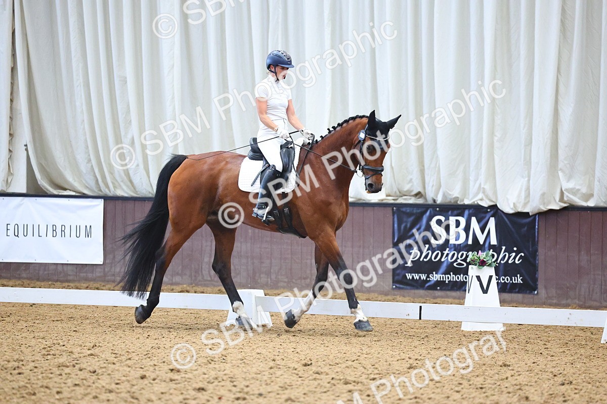 SBM_021819 - Class 14 - N6