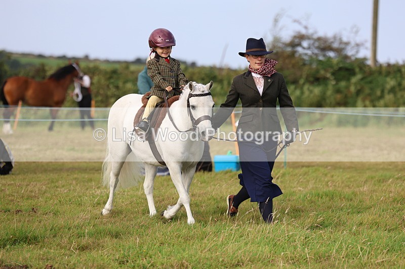 3E7A3611 - Class 2: Lead rein