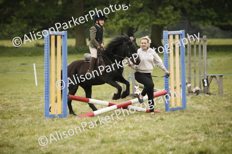 20250517-0298 - Class 1 - 30cm On Lead Rein