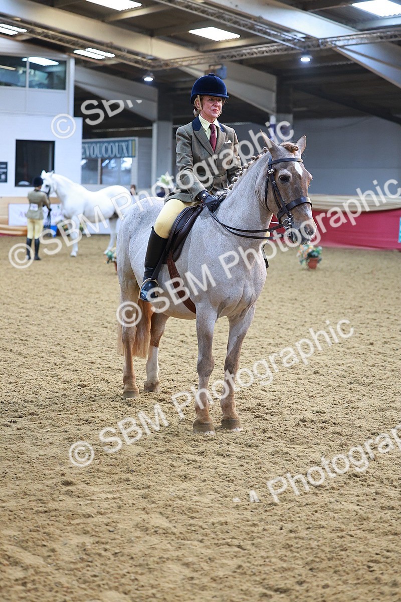 SBM_07684 - Class 101 - HOYS Veteran Qualifier - Ridden Diamond