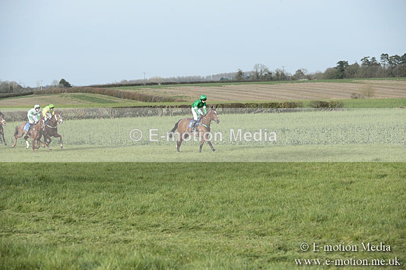 PtP 230319 460 - VWH Hunt Siddington Point-to-Point Racing 23/03/19