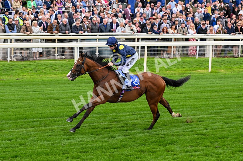 130626-Race 2-Extremely Zain-0914 - Race 2 14.25pm Sky Bet Supporting Macmillan Handicap