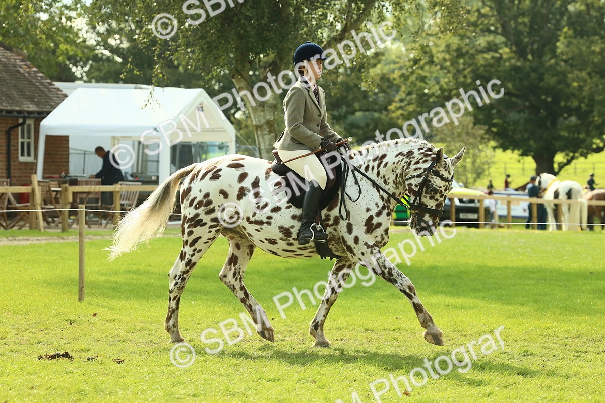 SBM_62469 - S62 - Foreign Breeds Ridden