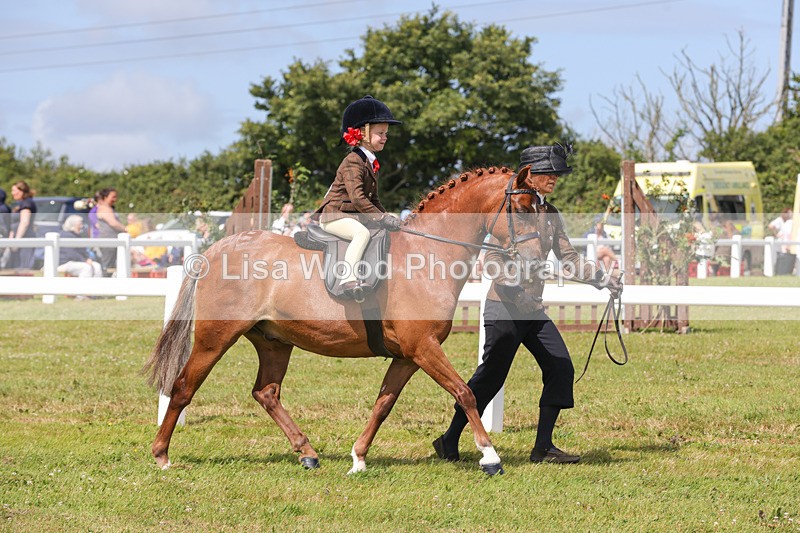 1X9A3831 - Plaited Mini Ridden Championship