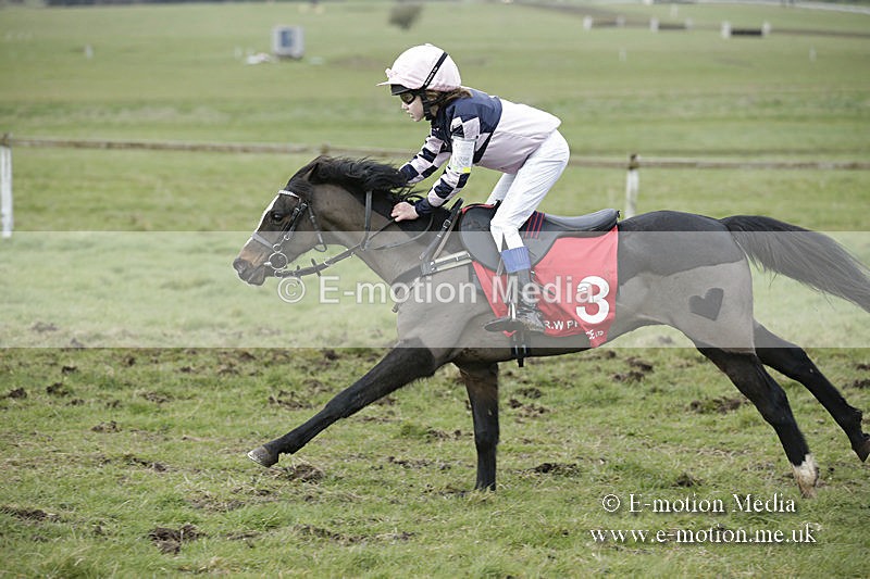 PtP 150320 0803 - New Forest Point-to-Point Larkhill 15/03/20