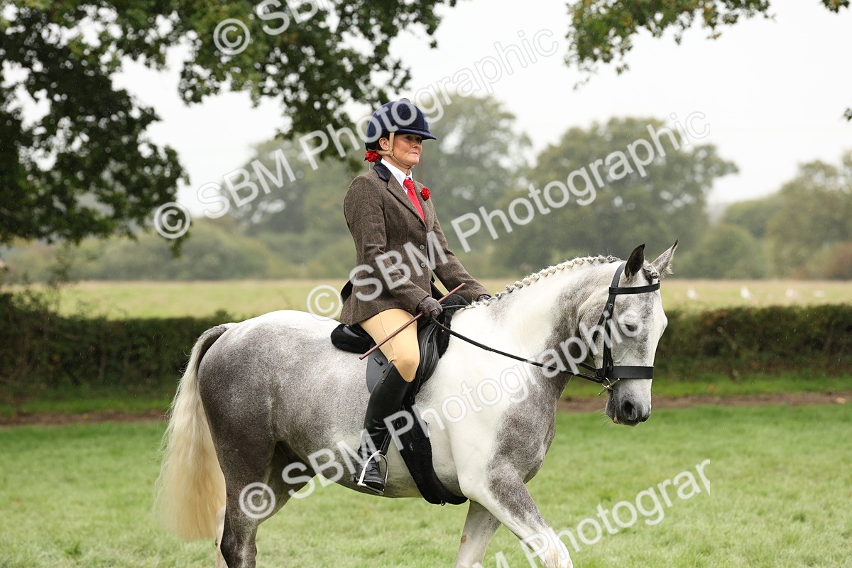 SBM_69873 - S68 - Other Coloured Horse Ridden