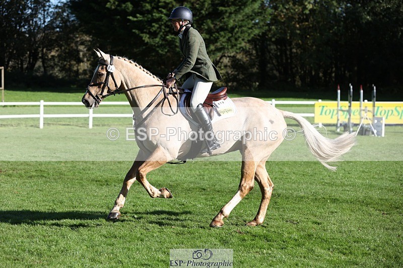 231022-104357-24705 - 612-CORRIEVIEW.MERLIN.MAGIC-Jane.Rogers-TrotUp+SJ