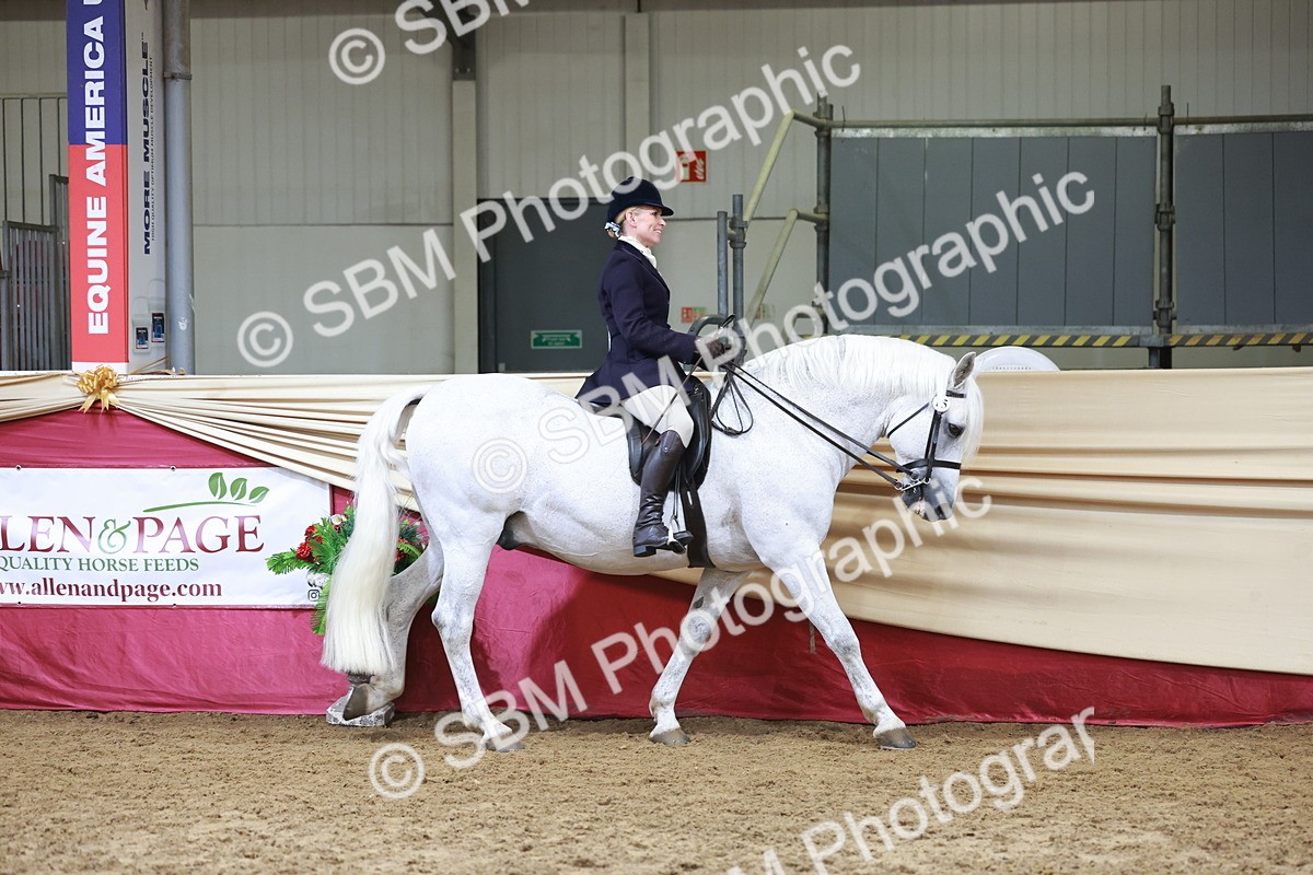 SBM_18533 - Class 952 - M&M Ridden Supreme Final