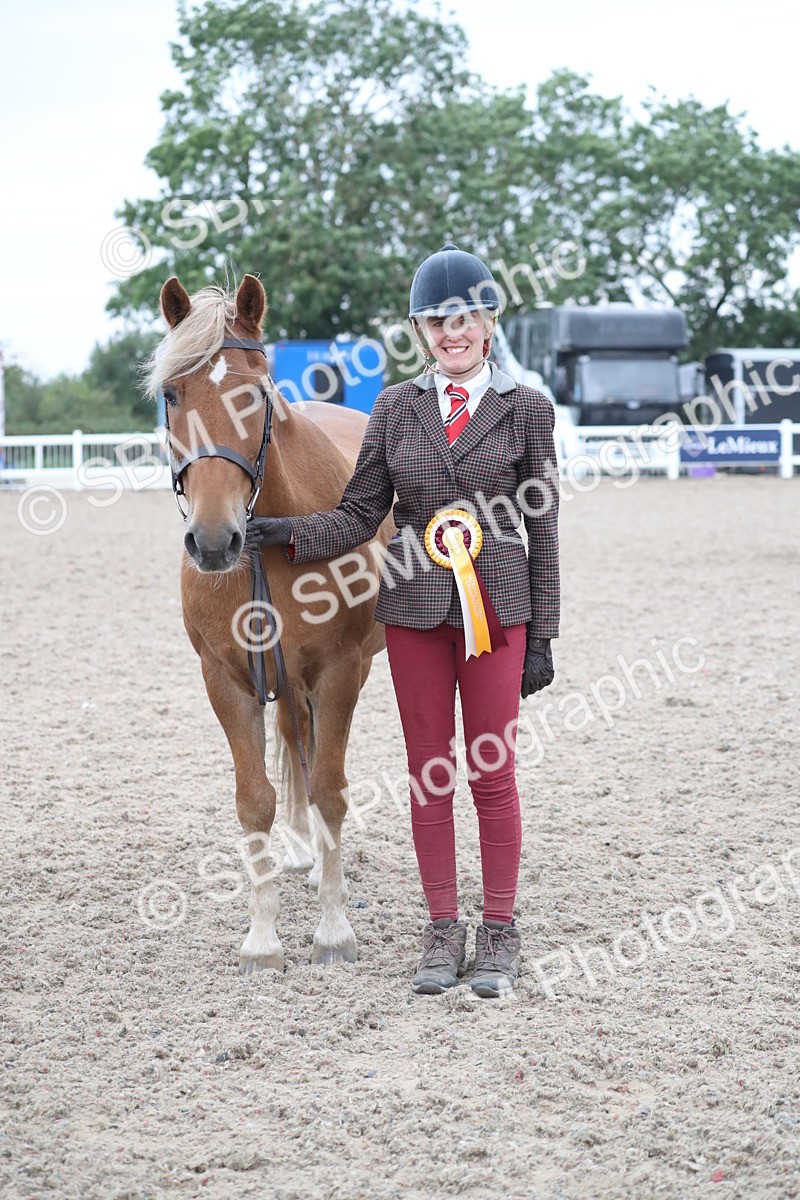 SBM_18417 - Class 318 IH Part bred Horse/Pony