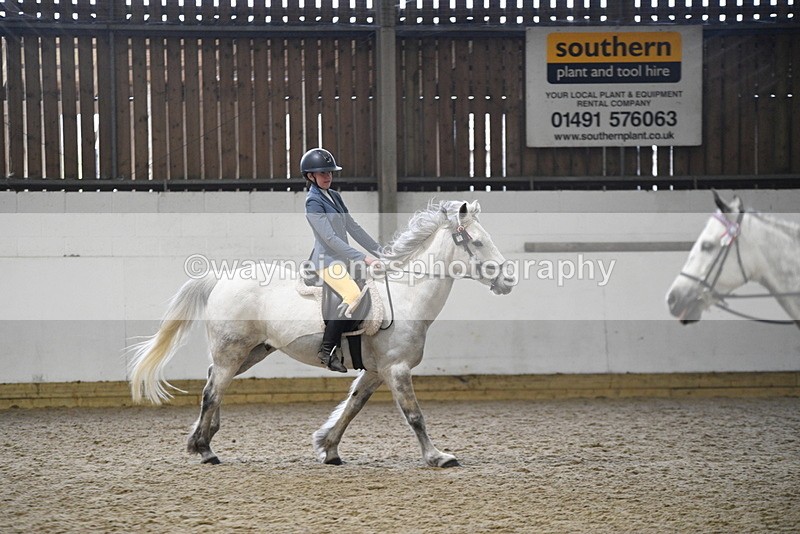 WJ5_7927 - Class 13 Ridden Part Breed