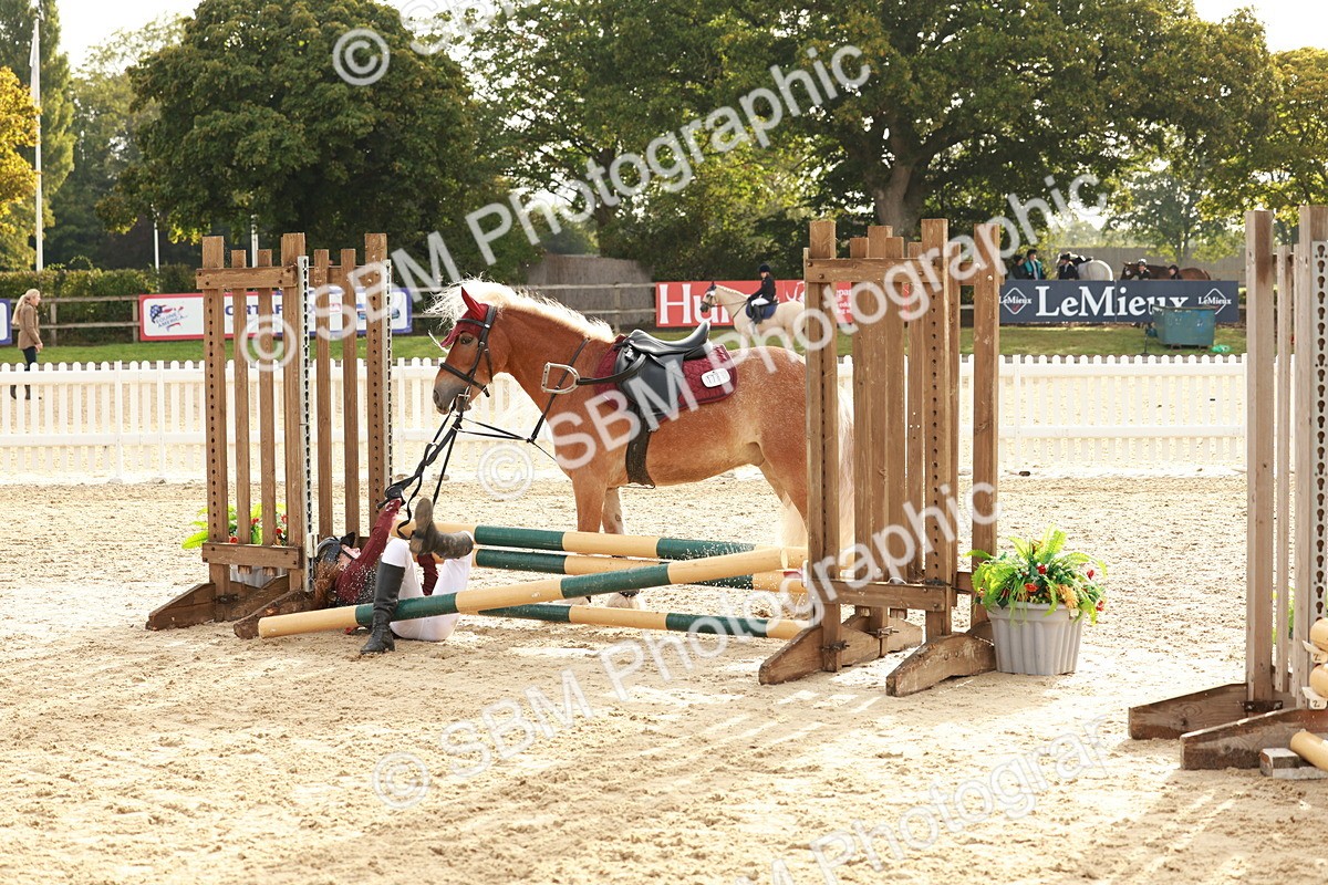 SBM_55695 - J11 - Junior Pony 50cm Championship