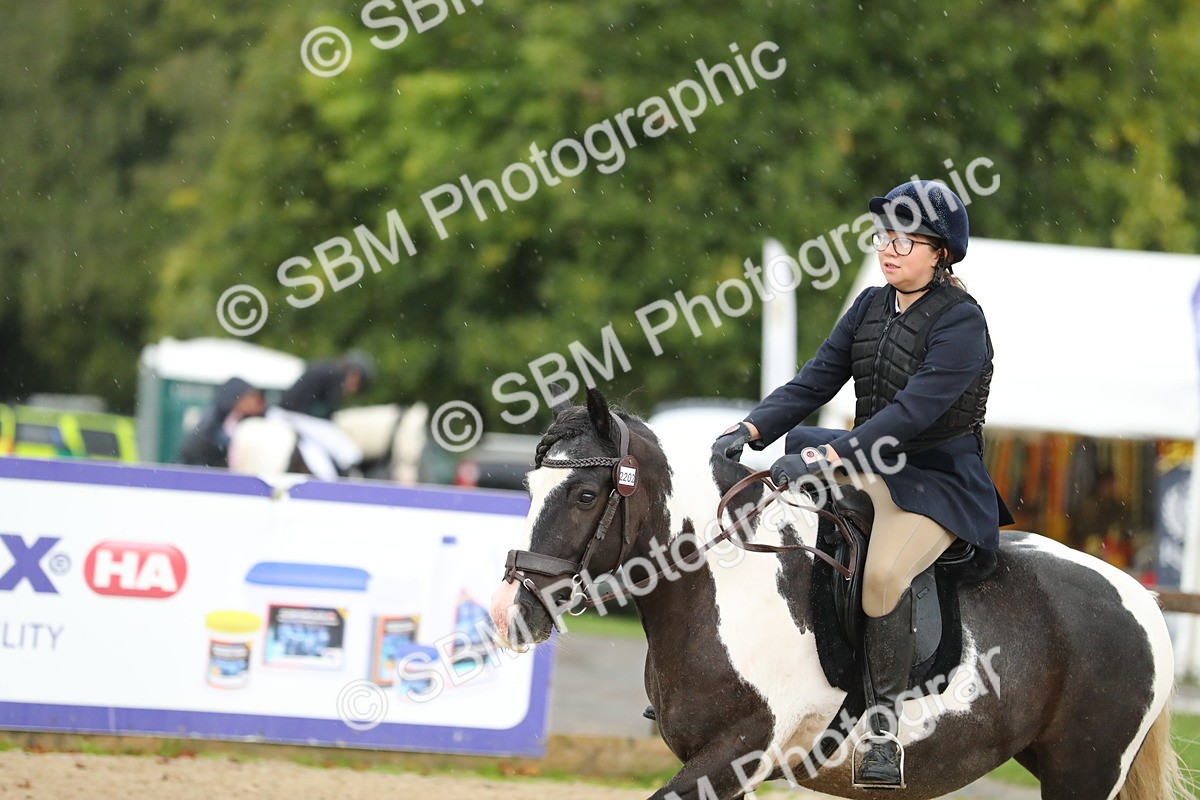 SBM_34458 - J60 Clear Round 50cm