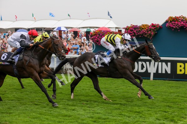 100923-Race 5-Commanche Falls-3963 - Race 5 3.50pm BetGoodwin Garrowby Stakes