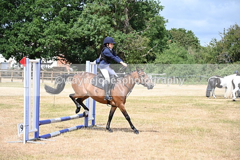 WJ6_5253 - Class 12 Minimus Jumping 45cm