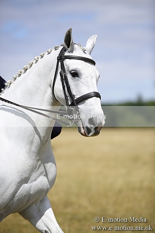 _C7A0247 - Side Saddle Classes BVRC Show 2018