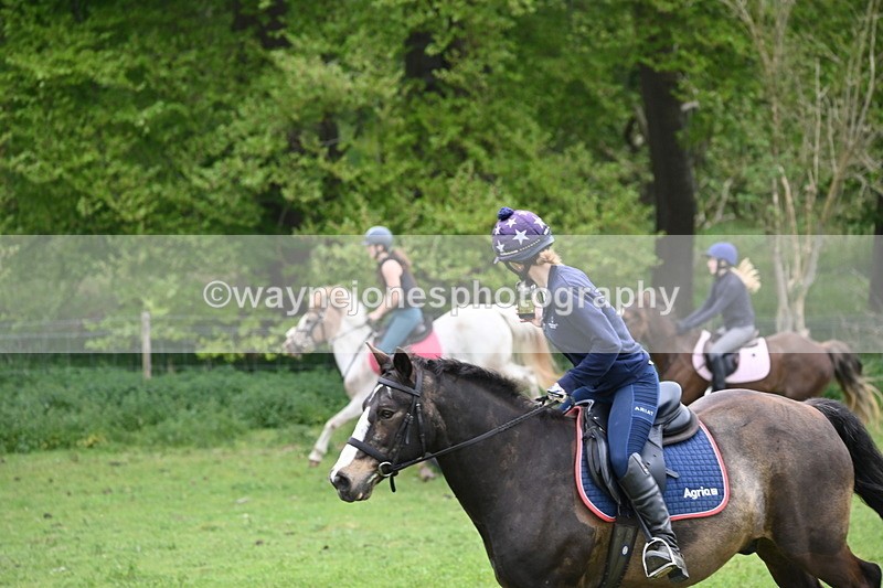 WJ6_3340 - A camera