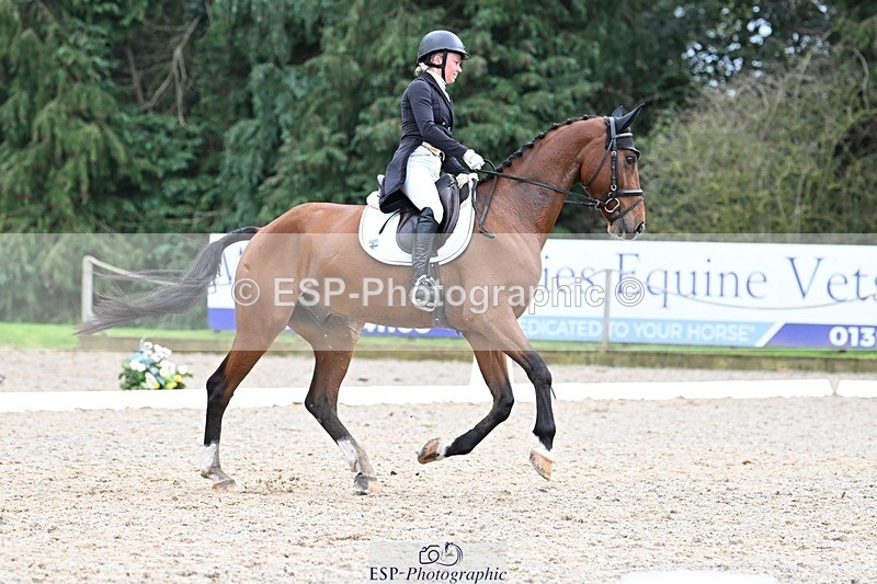 231019-163558-05373 - 070-SLIGO.CASTLE.JACOMAR-Veera.Peltokangas-DR