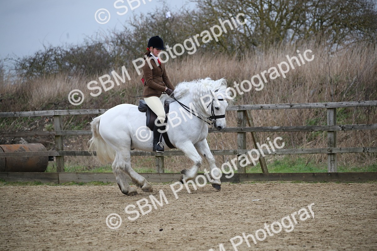 SBM_006118 - Class 10-13 - RIHS Small Large Breeds