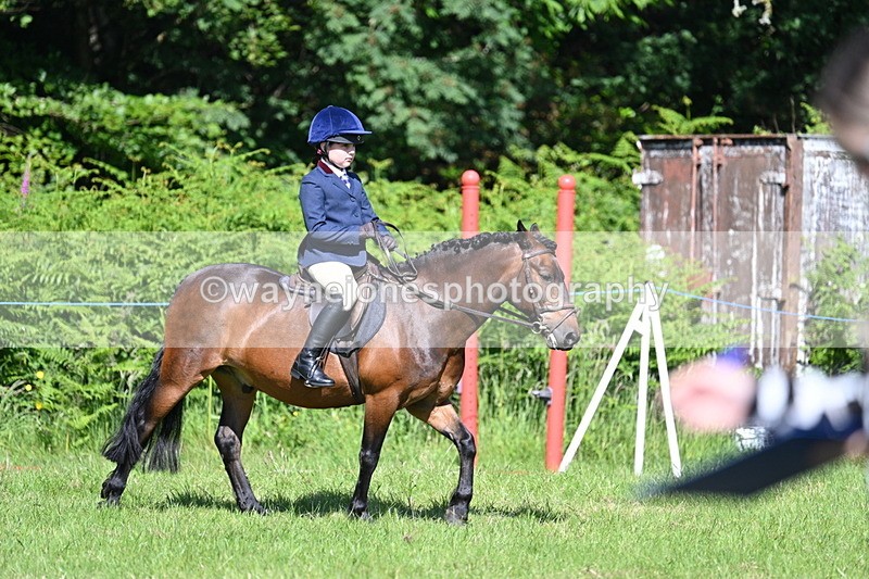 WJ7_0734 - Class 8 First Rally Pony