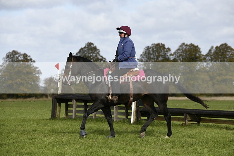 _DSC6435 - Time 11:23 to 12:05