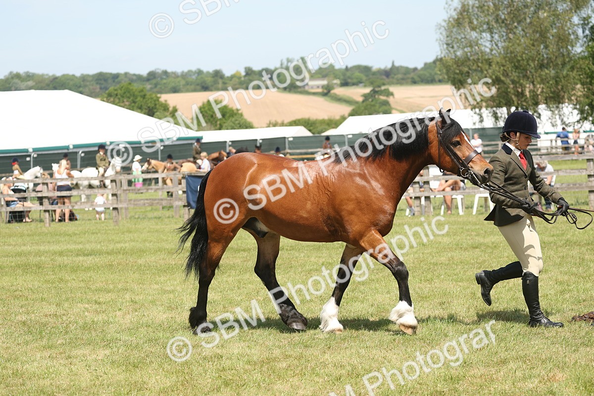 SBM_06977 - Class 26-30 - Mountain and Moorland Ridden