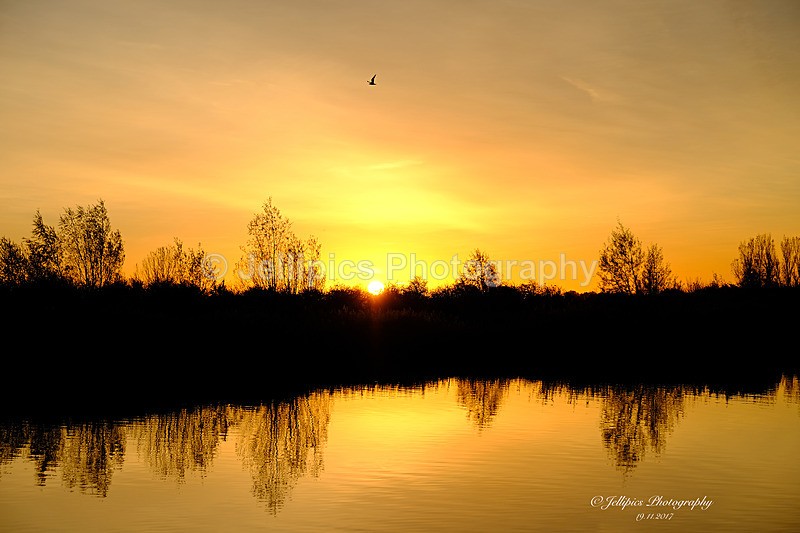  - Landscapes