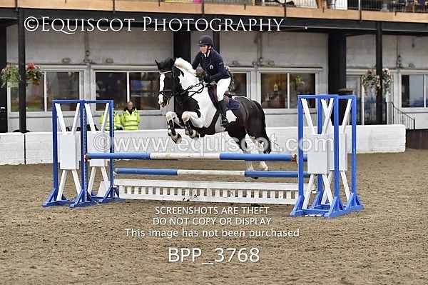 BPP_3768 - FRI CLASS 21 BR NOVICE/90CM