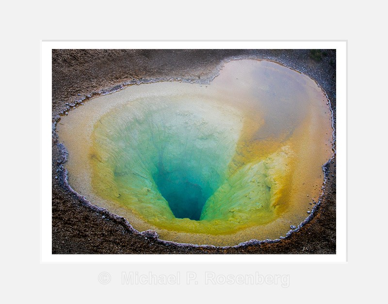 Artist Palette - Natural Abstracts