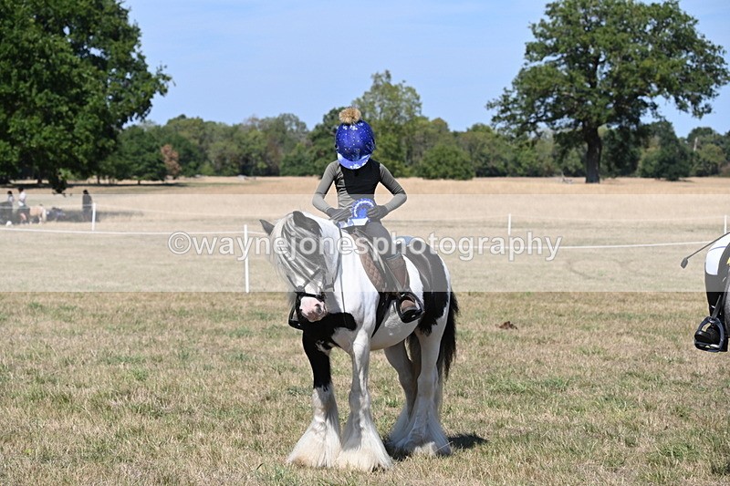 WJ6_9086 - Class 38 Ridden Riding Horse/Pony