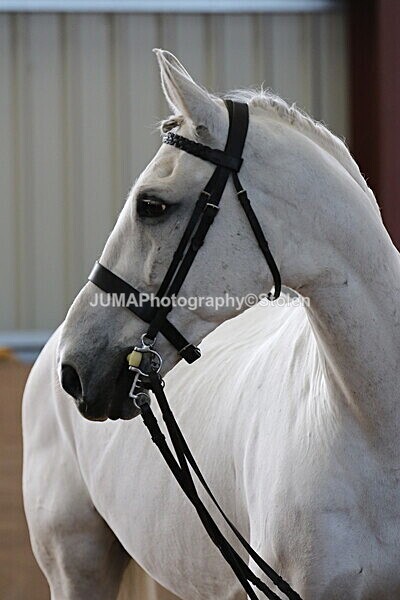 SIAL9973 - Indoor Classes