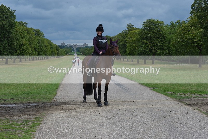 TT3_9271 - Time at Crossing 09:22 to 11:26