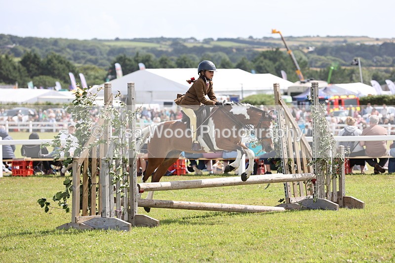 JPP_2155 - Class 19: Working Hunter 60cm