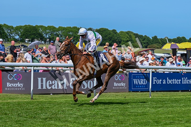300526-Race 4-Whos Lope-5850 - Race 4 15.25pm Birch Flooring Novice Stakes