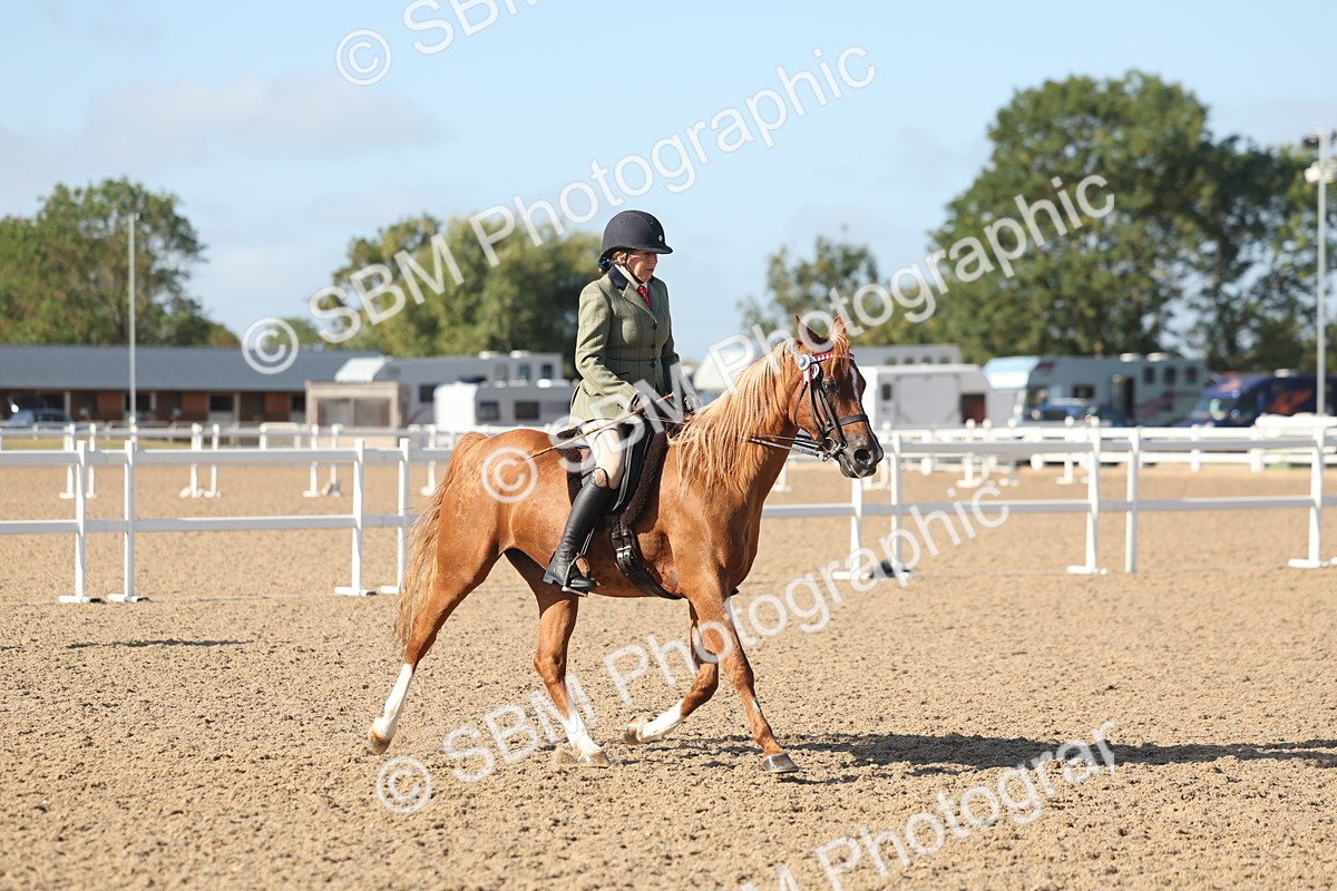 SBM_22309 - Class 803 - Ridden Combination 65+
