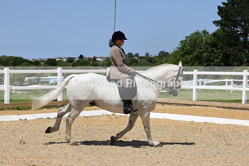 1X9A1737 - Class 11: Ridden Cob