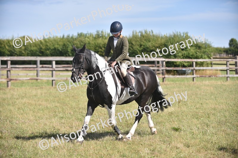 20260906-2635 - Class 12 - 14.2hh and Under